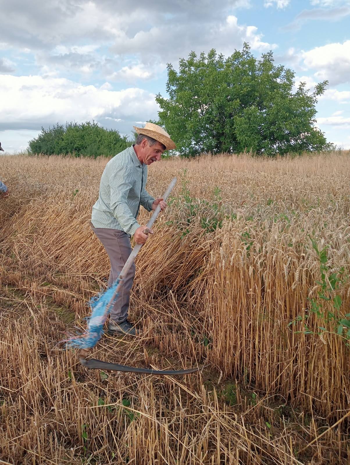 Zażynki w Rozięcinie 2025